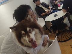 -Let's go狗咖·猫咖·奶狗·桌游(春熙路IFS店)
