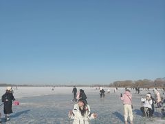 -丁香湖公园