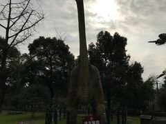 -金钉子远古世界景区