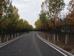 -天津东丽湖风景区