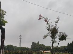 -方山风景区定林寺