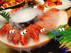 -猫头婴小酒馆FUN OWL(1912店)