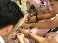 -宠颐生中康贝怡动物医院