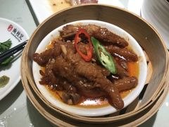 -南枝记