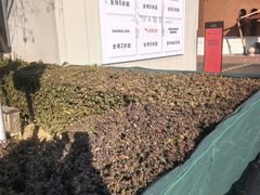 -京津佛罗伦萨小镇