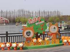 -上海长兴岛郊野公园