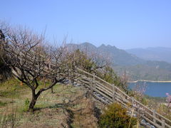 -千峡湖生态旅游度假区