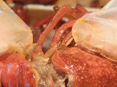 -靓靓蒸虾·头牌蒸虾(南山桂庙店)