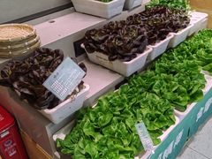 -九孔·筒骨莲藕汤锅(大明宫万达店)