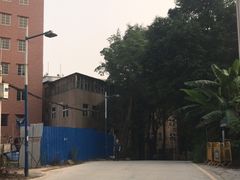 -火炉山森林公园