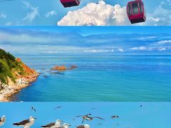 -海驴岛(荣成市)