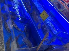 -新海渔港·胶东海鲜家常菜·家宴(奥体中心店)