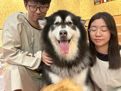 -和它·交个朋友·狗咖猫咖(爱琴海店)