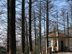 -莫干山风景区