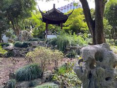 -上海醉白池公园