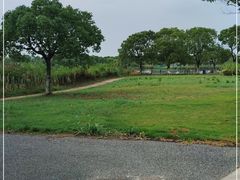 -上海都市菜园
