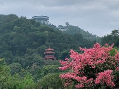 -神光山国家森林公园