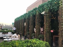 -顶层酒吧ROOF(上海艾迪逊酒店)