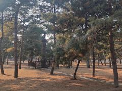 -沈阳市东陵公园