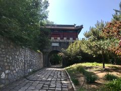 -云岗森林公园