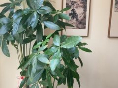 -八马茶业(星海胜利路旗舰店)