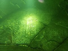 -白鹤梁水下博物馆