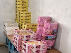 -南汇水蜜桃采摘(大团店)