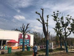 -前小桔亲子创意农场·草莓采摘·露营烧烤
