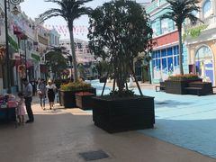 -芜湖新华联大白鲸海洋公园