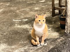 -兮食农场餐厅