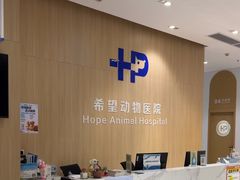 -希望动物医院(汉阳院)