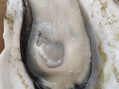-蚝得喜海鲜(东城店)