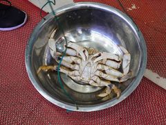 -金海湾海鲜排档(朱家尖店)