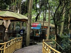 -二荆条·蜀鲜汇城市森林火锅