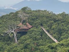 -三亚亚龙湾人间天堂鸟巢度假村
