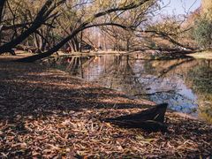 -上海共青森林公园