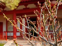 -徐州汉画像石艺术馆