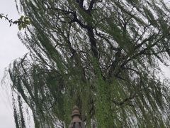 -荣国府