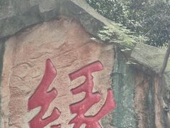 -杭州黄龙洞