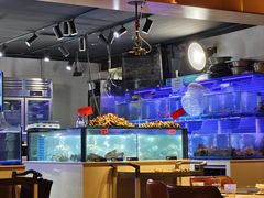 -日进一片海.生腌海鲜火锅.宵夜烧烤(三里屯总店)