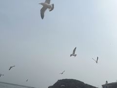 -棒棰岛宾馆景区