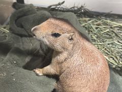 -瑞虹新天地月亮湾