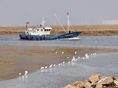 -小洋口旅游度假区