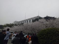 -武汉大学-樱园