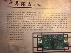 -三国赤壁古战场