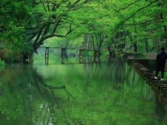 -西溪国家湿地公园