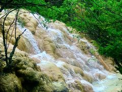 -黄龙山原始森林景区