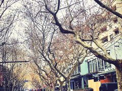 -一尺花园(安和花园店)