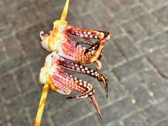 -王姐烧烤(中山路店)