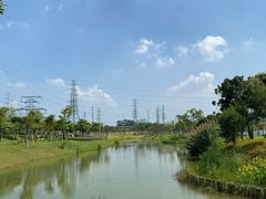 -王借岗森林公园